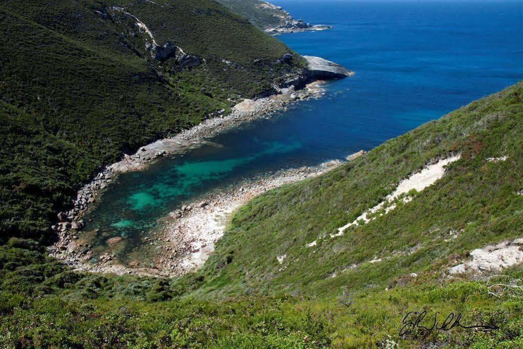 Park Avenue Holiday Units Όλμπανι Εξωτερικό φωτογραφία